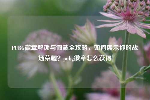 PUBG徽章解锁与佩戴全攻略，如何展示你的战场荣耀？pubg徽章怎么获得
