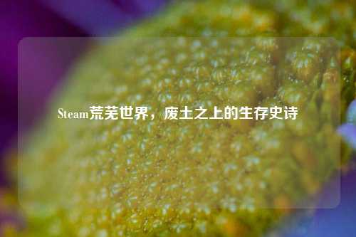 Steam荒芜世界，废土之上的生存史诗