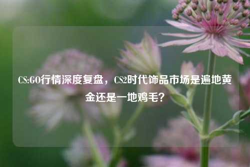 CS:GO行情深度复盘，CS2时代饰品市场是遍地黄金还是一地鸡毛？
