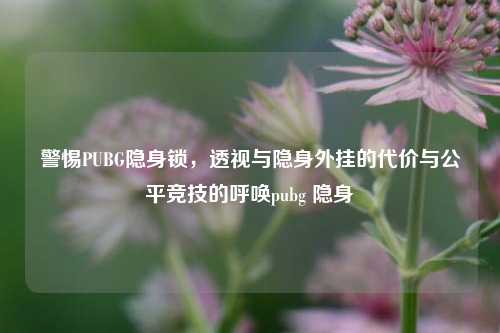 警惕PUBG隐身锁，透视与隐身外挂的代价与公平竞技的呼唤pubg 隐身
