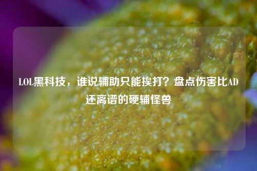 LOL黑科技，谁说辅助只能挨打？盘点伤害比AD还离谱的硬辅怪兽