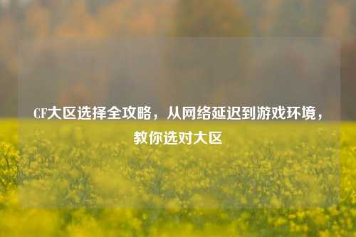 CF大区选择全攻略，从网络延迟到游戏环境，教你选对大区