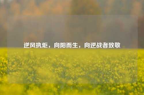 逆风执炬，向阳而生，向逆战者致敬
