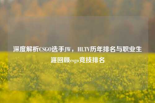 深度解析CSGO选手JW，HLTV历年排名与职业生涯回顾csgo竞技排名