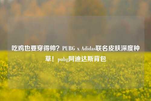 吃鸡也要穿得帅？PUBG x Adidas联名皮肤深度种草！pubg阿迪达斯背包