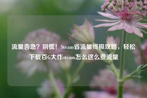 流量告急？别慌！Steam省流量终极攻略，轻松下载百G大作steam怎么这么费流量