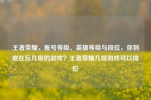王者荣耀，账号等级、英雄等级与段位，你到底在玩几级的游戏？王者荣耀几级游戏可以排位