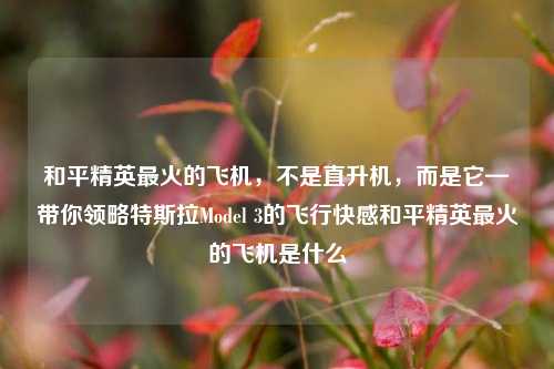 和平精英最火的飞机，不是直升机，而是它—带你领略特斯拉Model 3的飞行快感和平精英最火的飞机是什么