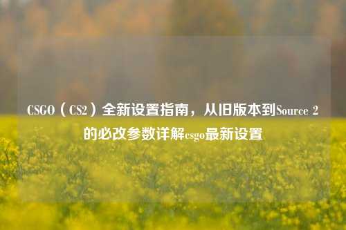 CSGO（CS2）全新设置指南，从旧版本到Source 2的必改参数详解csgo最新设置