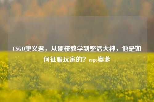 CSGO奥义君，从硬核教学到整活大神，他是如何征服玩家的？csgo奥爹