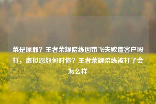 菜是原罪？王者荣耀陪练因带飞失败遭客户殴打，虚拟恩怨何时休？王者荣耀陪练被打了会怎么样