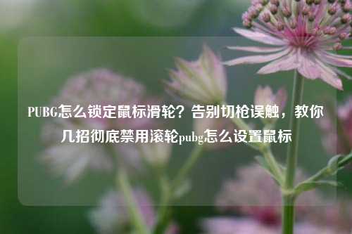 PUBG怎么锁定鼠标滑轮？告别切枪误触，教你几招彻底禁用滚轮pubg怎么设置鼠标