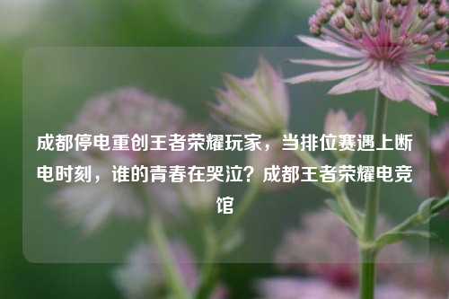 成都停电重创王者荣耀玩家，当排位赛遇上断电时刻，谁的青春在哭泣？成都王者荣耀电竞馆