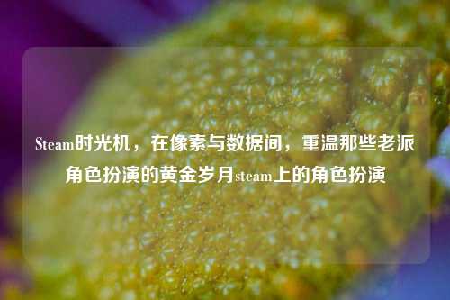 Steam时光机，在像素与数据间，重温那些老派角色扮演的黄金岁月steam上的角色扮演