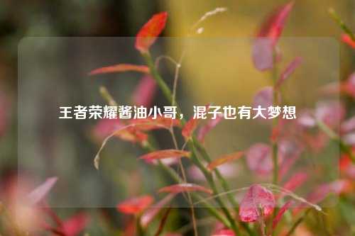 王者荣耀酱油小哥，混子也有大梦想