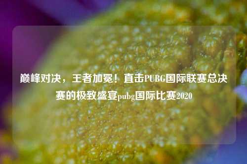 巅峰对决，王者加冕！直击PUBG国际联赛总决赛的极致盛宴pubg国际比赛2020