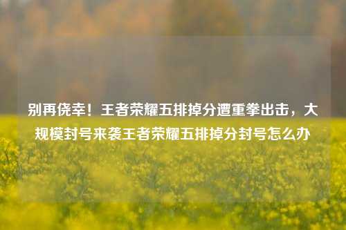 别再侥幸！王者荣耀五排掉分遭重拳出击，大规模封号来袭王者荣耀五排掉分封号怎么办