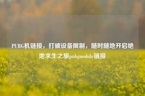 PUBG机链接，打破设备限制，随时随地开启绝地求生之旅pubgmobile链接