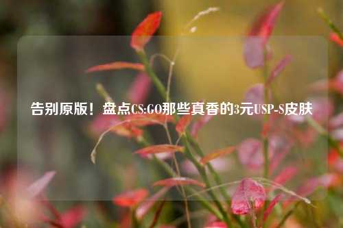 告别原版！盘点CS:GO那些真香的3元USP-S皮肤