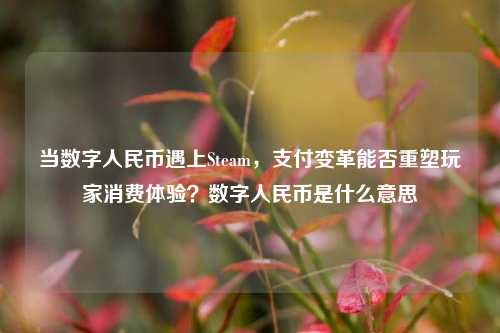 当数字人民币遇上Steam，支付变革能否重塑玩家消费体验？数字人民币是什么意思