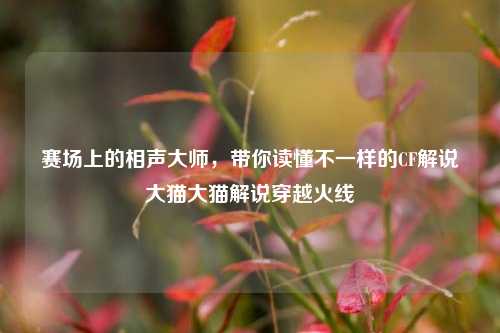 赛场上的相声大师，带你读懂不一样的CF解说大猫大猫解说穿越火线