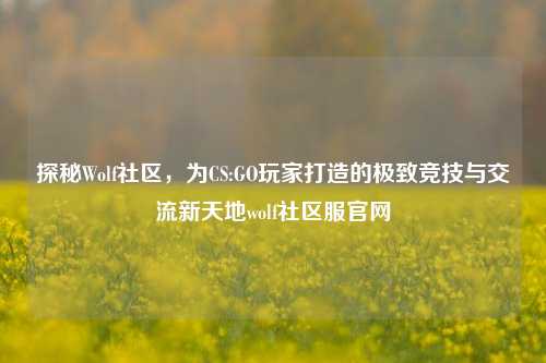 探秘Wolf社区，为CS:GO玩家打造的极致竞技与交流新天地wolf社区服官网
