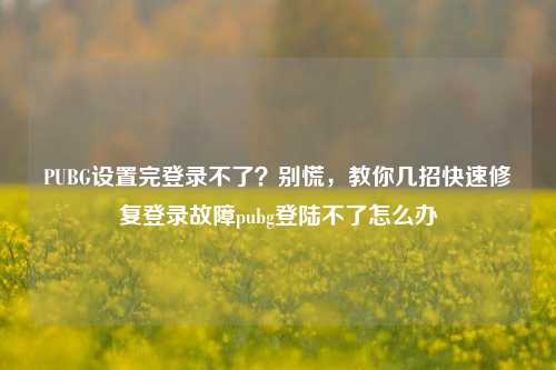 PUBG设置完登录不了？别慌，教你几招快速修复登录故障pubg登陆不了怎么办