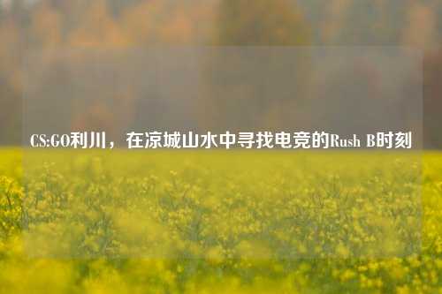 CS:GO利川，在凉城山水中寻找电竞的Rush B时刻