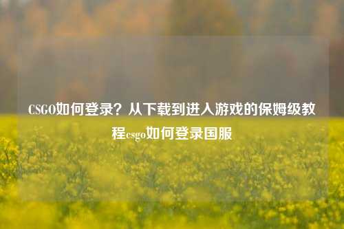CSGO如何登录？从下载到进入游戏的保姆级教程csgo如何登录国服