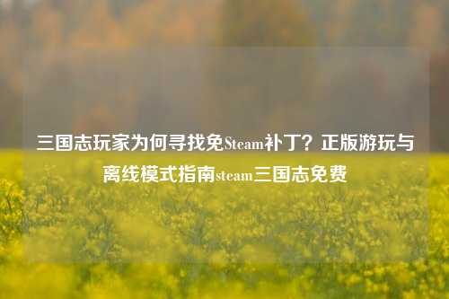 三国志玩家为何寻找免Steam补丁？正版游玩与离线模式指南steam三国志免费