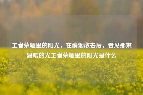 王者荣耀里的阳光，在硝烟散去后，看见那束温暖的光王者荣耀里的阳光是什么
