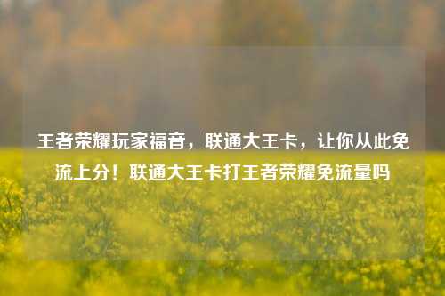 王者荣耀玩家福音，联通大王卡，让你从此免流上分！联通大王卡打王者荣耀免流量吗