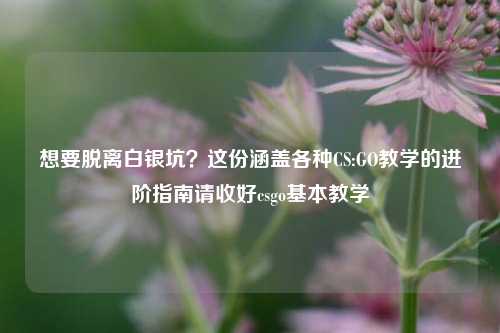 想要脱离白银坑？这份涵盖各种CS:GO教学的进阶指南请收好csgo基本教学