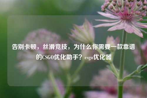 告别卡顿，丝滑竞技，为什么你需要一款靠谱的CSGO优化助手？csgo优化器