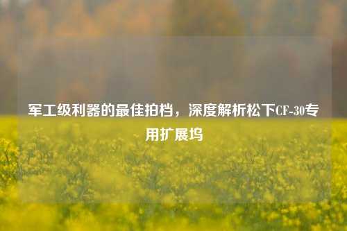 军工级利器的最佳拍档,深度解析松下CF-30专用扩展坞