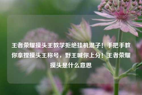 王者荣耀摸头王教学拒绝挂机混子！手把手教你拿捏摸头王称号，野王喊你上分！王者荣耀摸头是什么意思
