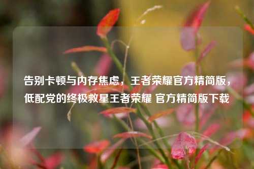 告别卡顿与内存焦虑，王者荣耀官方精简版，低配党的终极救星王者荣耀 官方精简版下载