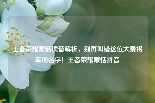 王者荣耀蒙恬读音解析，别再叫错这位大秦将军的名字！王者荣耀蒙恬拼音
