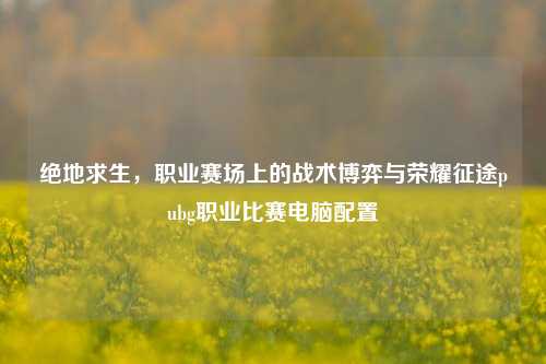 绝地求生,职业赛场上的战术博弈与荣耀征途pubg职业比赛电脑配置