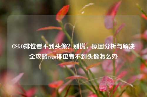 CSGO排位看不到头像?别慌,原因分析与解决全攻略csgo排位看不到头像怎么办