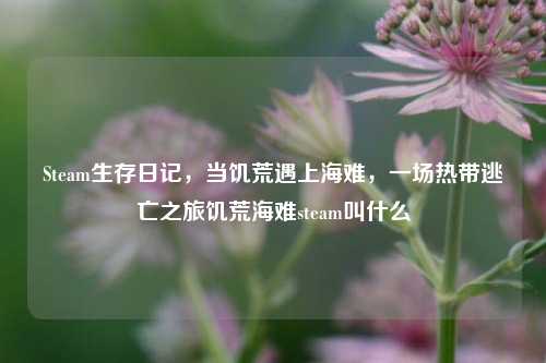 Steam生存日记,当饥荒遇上海难,一场热带逃亡之旅饥荒海难steam叫什么