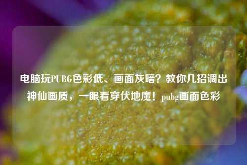 电脑玩PUBG色彩低、画面灰暗?教你几招调出神仙画质,一眼看穿伏地魔!pubg画面色彩