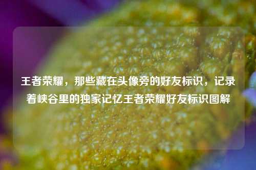 王者荣耀，那些藏在头像旁的好友标识，记录着峡谷里的独家记忆王者荣耀好友标识图解