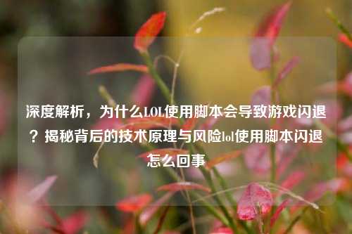 深度解析,为什么LOL使用脚本会导致游戏闪退?揭秘背后的技术原理与风险lol使用脚本闪退怎么回事