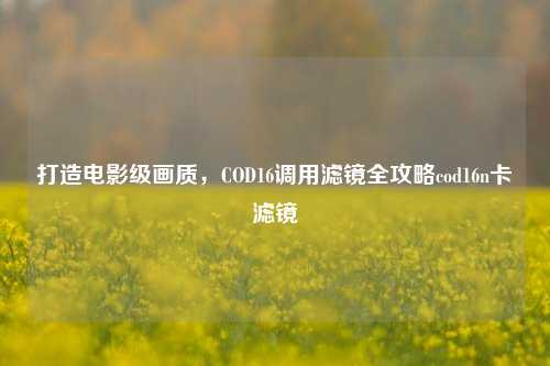 打造电影级画质，COD16调用滤镜全攻略cod16n卡滤镜