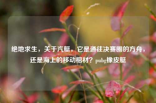 绝地求生,关于汽艇,它是通往决赛圈的方舟,还是海上的移动棺材?pubg橡皮艇