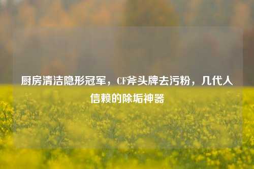 厨房清洁隐形冠军，CF斧头牌去污粉，几代人信赖的除垢神器