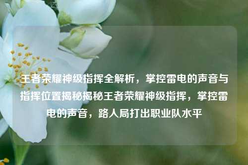 王者荣耀神级指挥全解析，掌控雷电的声音与指挥位置揭秘揭秘王者荣耀神级指挥，掌控雷电的声音，路人局打出职业队水平