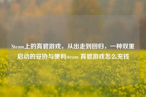 Steam上的育碧游戏，从出走到回归，一种双重启动的妥协与便利steam 育碧游戏怎么充钱