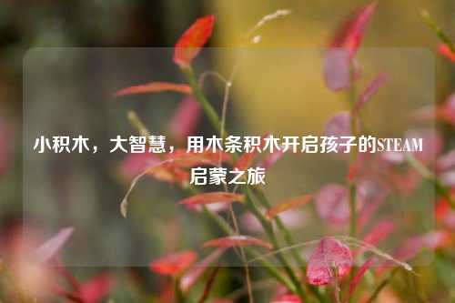 小积木，大智慧，用木条积木开启孩子的STEAM启蒙之旅
